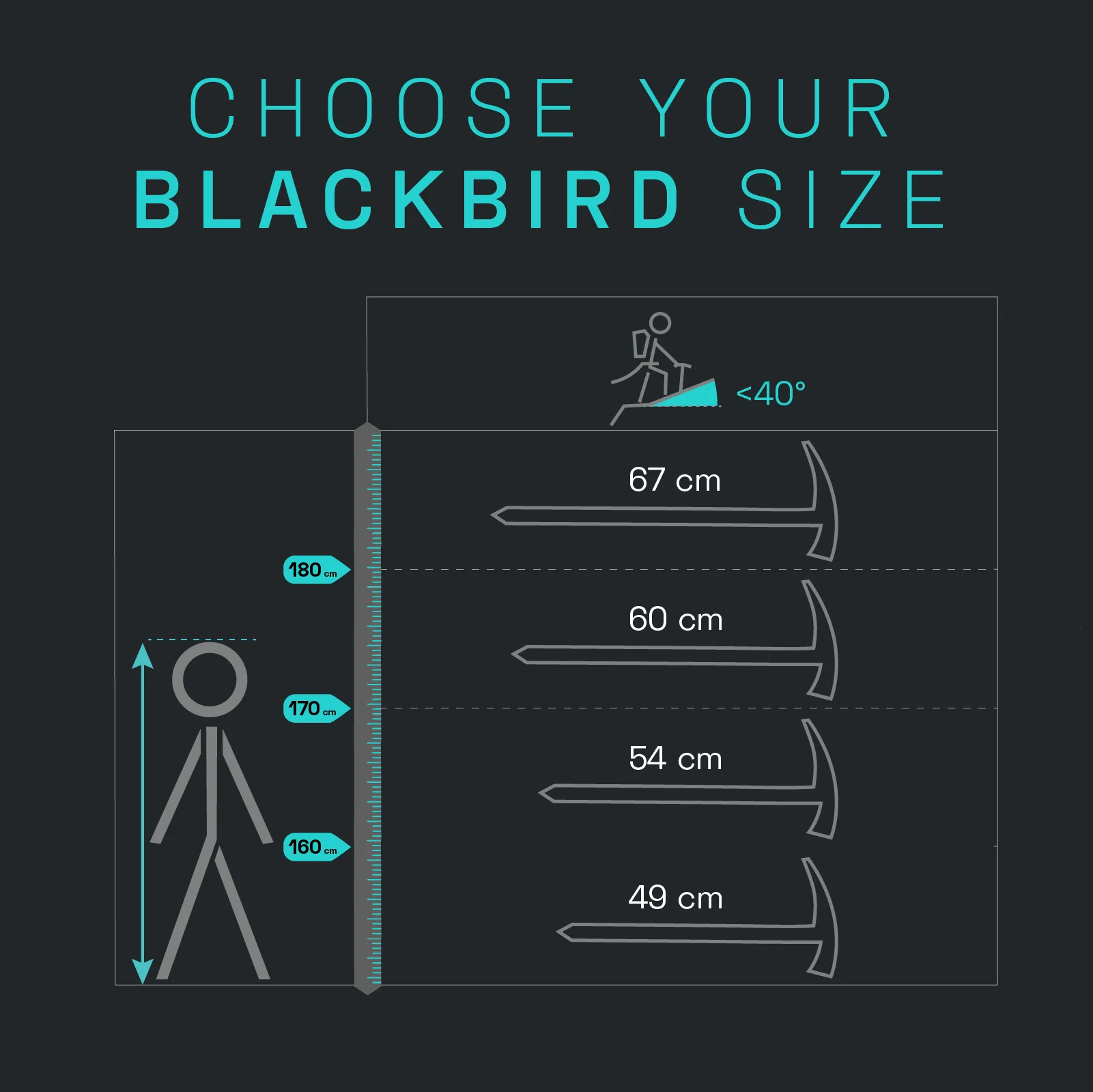 Blackbird - Image 6