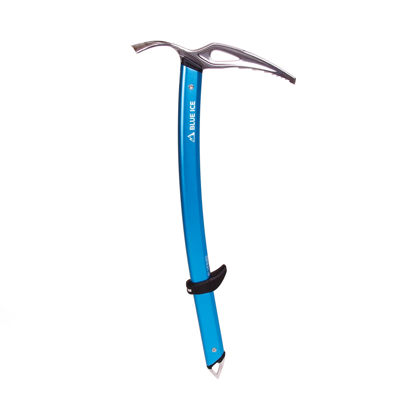 Bluebird - Image 3