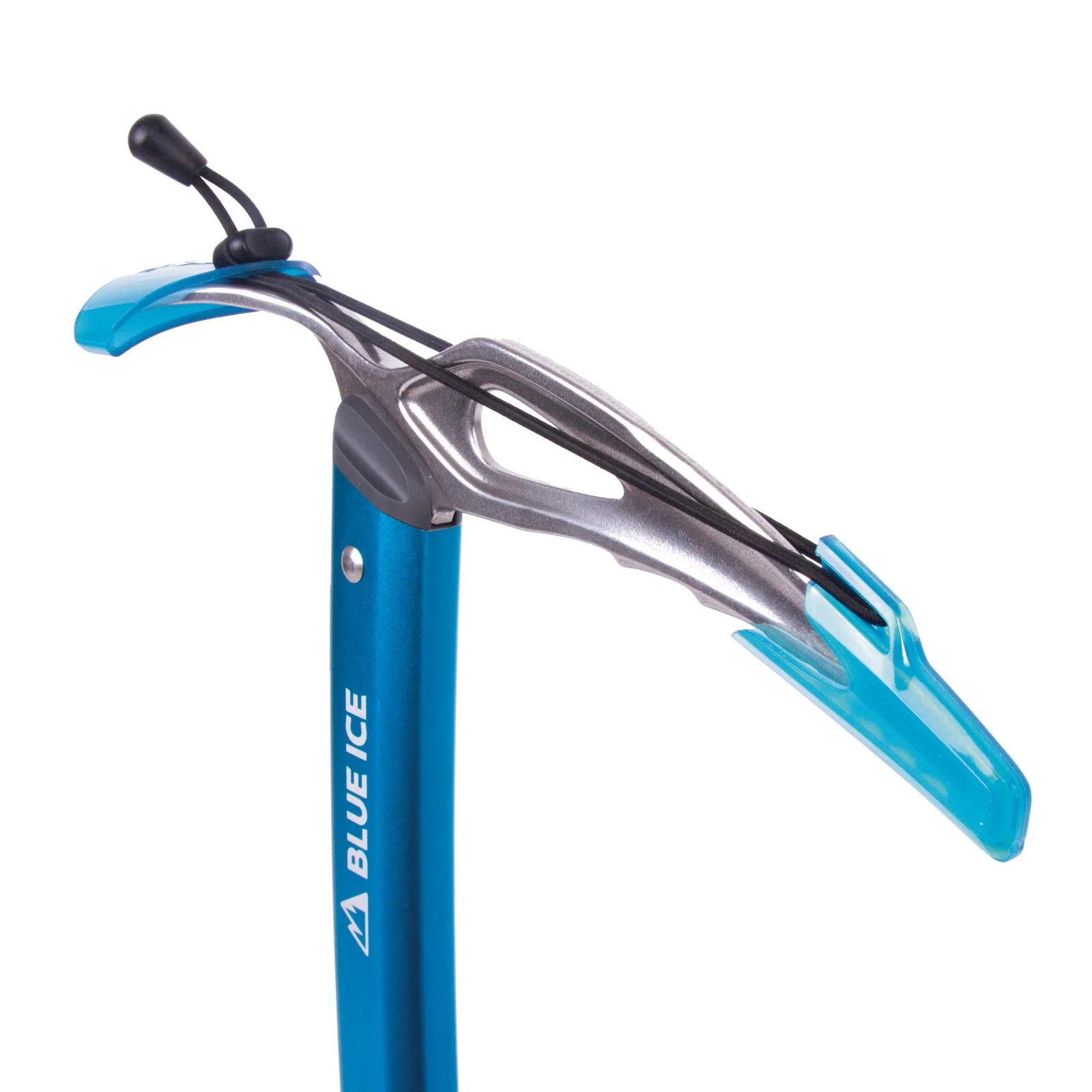 Bluebird - Image 4