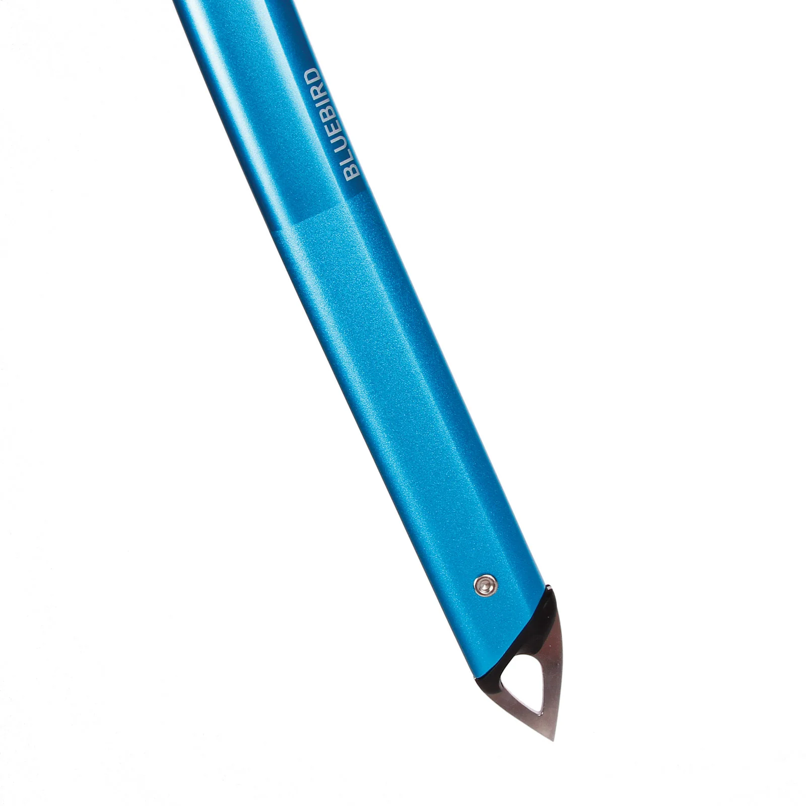 Bluebird - Image 5