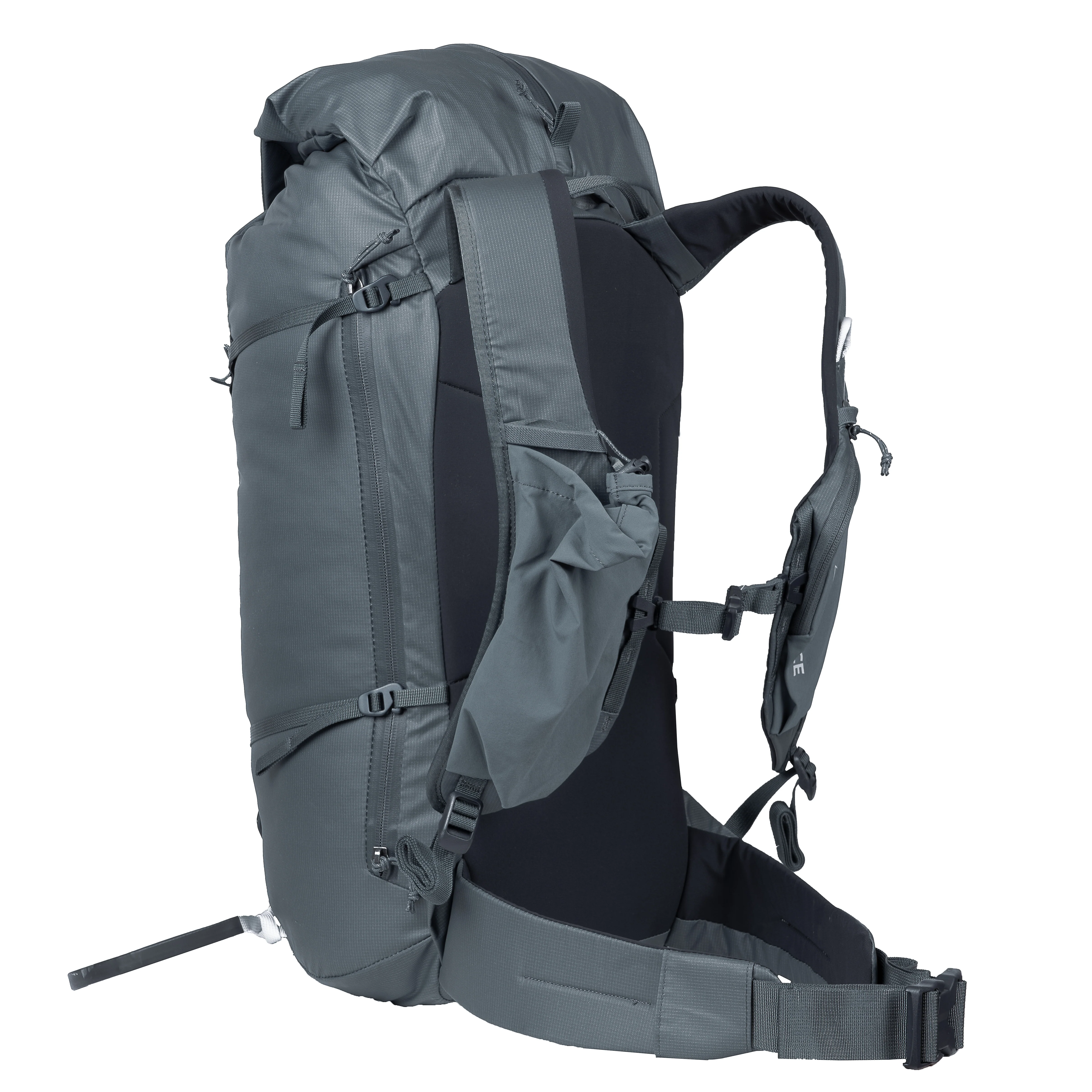 Firecrest 28 - Image 8