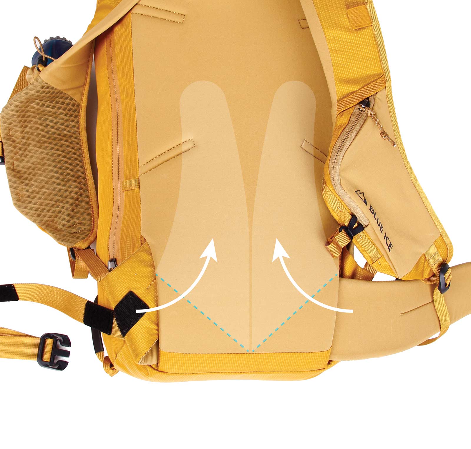 Firecrest 28 - Image 14