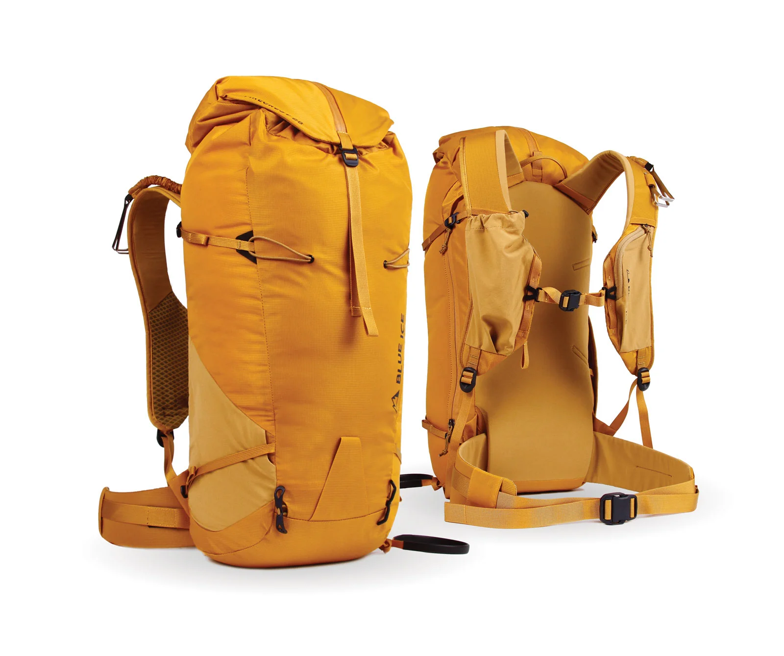 Firecrest 28 - Image 6