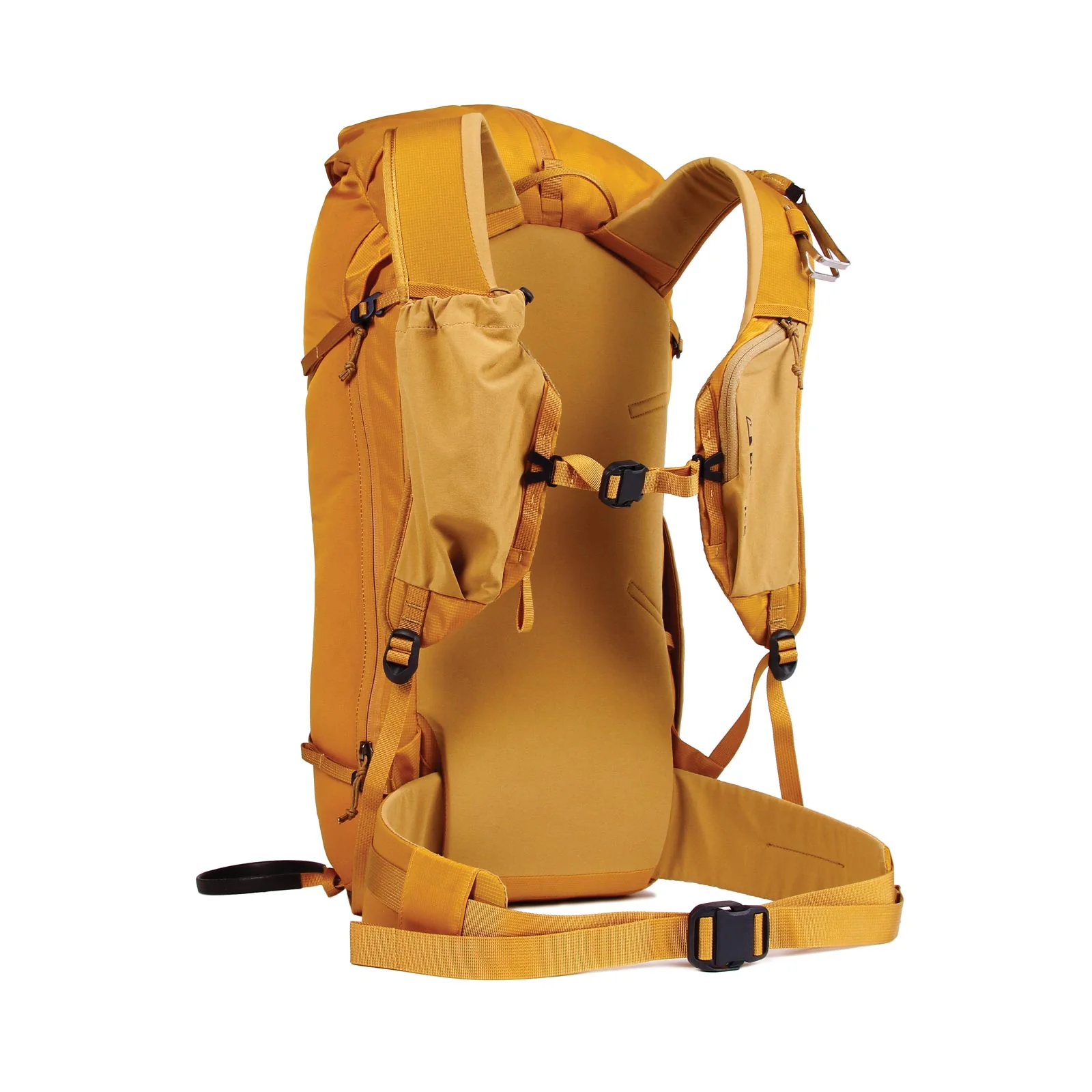 Firecrest 28 - Image 8