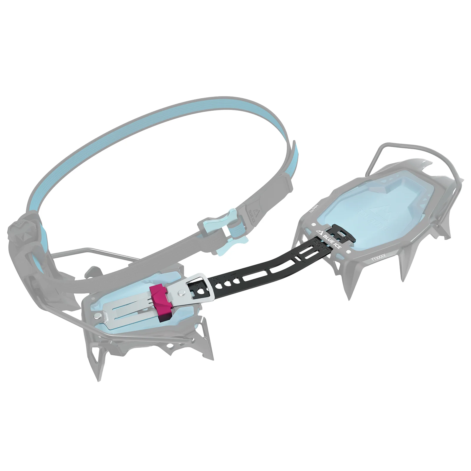 Griffin 12 - Image 5