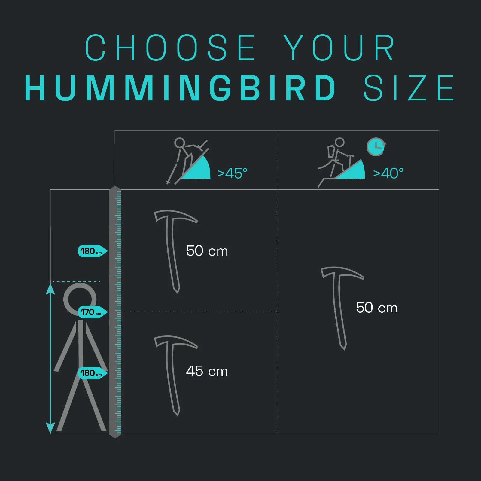 Hummingbird - Image 10